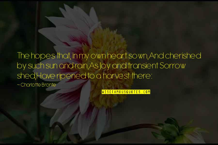 Erotyczne Stroje Quotes By Charlotte Bronte: The hopes that, in my own heart sown,And