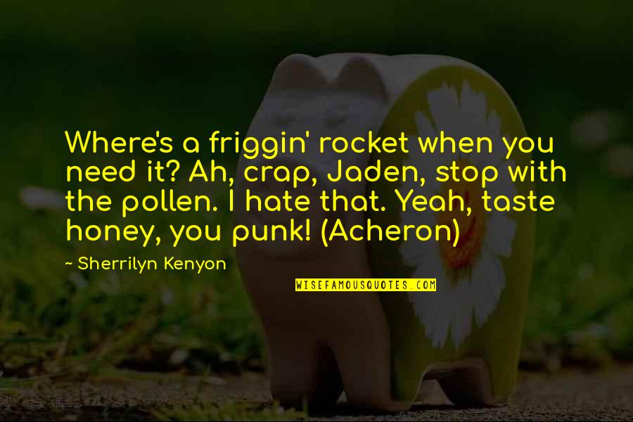 Erramalli Quotes By Sherrilyn Kenyon: Where's a friggin' rocket when you need it?