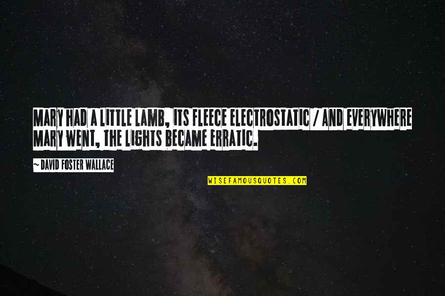 Erratic Quotes By David Foster Wallace: Mary had a little lamb, its fleece electrostatic