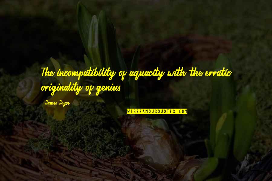 Erratic Quotes By James Joyce: The incompatibility of aquacity with the erratic originality