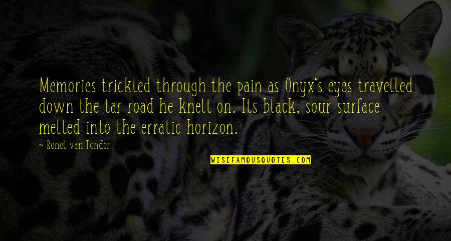 Erratic Quotes By Ronel Van Tonder: Memories trickled through the pain as Onyx's eyes