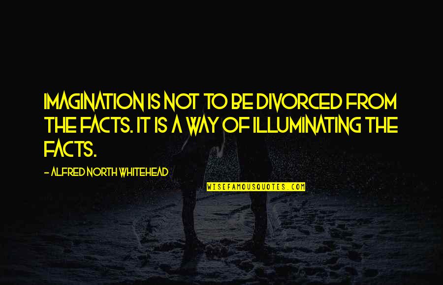 Errecart Blvd Quotes By Alfred North Whitehead: Imagination is not to be divorced from the Errecart Blvd Quotes By Alfred North Whitehead: Imagination is not to be divorced from the