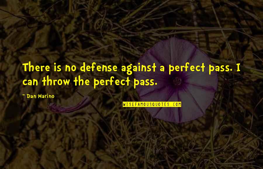 Erreur Relative Quotes By Dan Marino: There is no defense against a perfect pass.