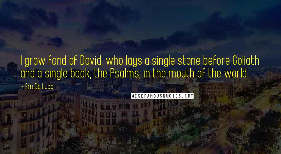 Erri De Luca quotes: I grow fond of David, who lays a single stone before Goliath and a single book, the Psalms, in the mouth of the world.