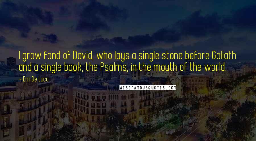 Erri De Luca quotes: I grow fond of David, who lays a single stone before Goliath and a single book, the Psalms, in the mouth of the world. Erri De Luca quotes: I grow fond of David, who lays a single stone before Goliath and a single book, the Psalms, in the mouth of the world.
