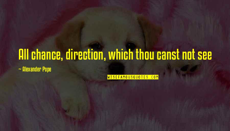 Erring Quotes By Alexander Pope: All chance, direction, which thou canst not see