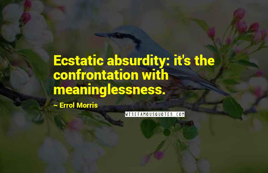 Errol Morris quotes: Ecstatic absurdity: it's the confrontation with meaninglessness. Errol Morris quotes: Ecstatic absurdity: it's the confrontation with meaninglessness.