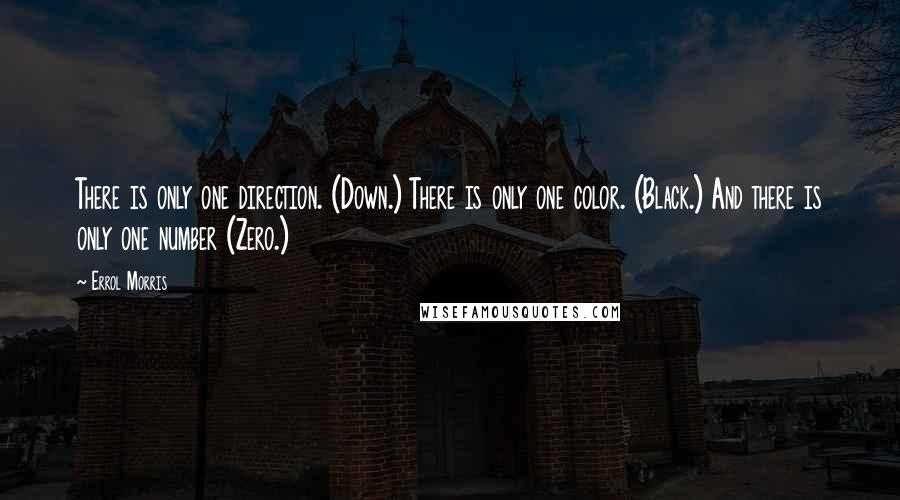 Errol Morris quotes: There is only one direction. (Down.) There is only one color. (Black.) And there is only one number (Zero.)