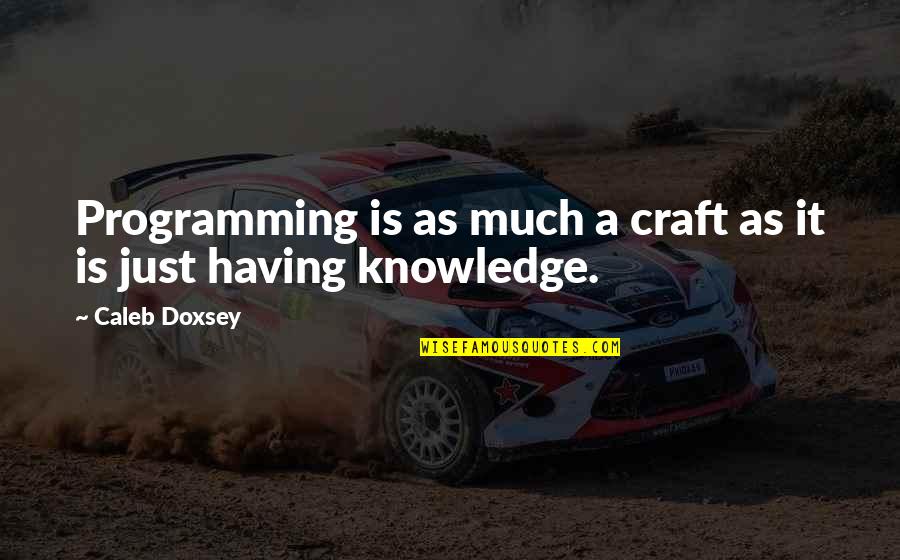 Erroll Quotes By Caleb Doxsey: Programming is as much a craft as it