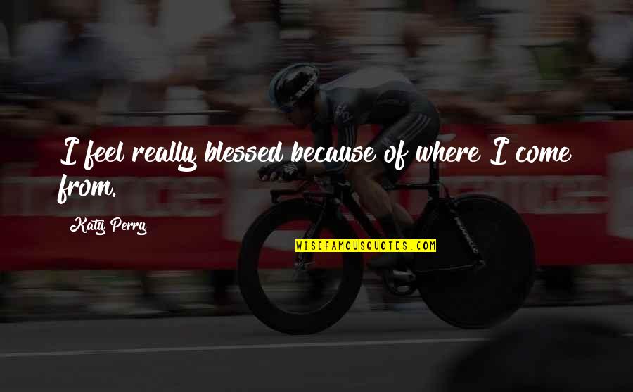 Erumpents Quotes By Katy Perry: I feel really blessed because of where I Erumpents Quotes By Katy Perry: I feel really blessed because of where I