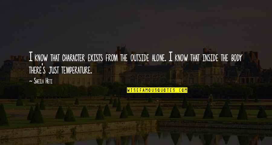 Erupciones Quotes By Sheila Heti: I know that character exists from the outside