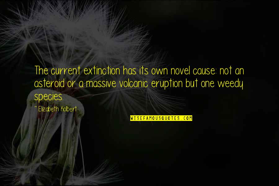 Eruption Quotes By Elizabeth Kolbert: The current extinction has its own novel cause: