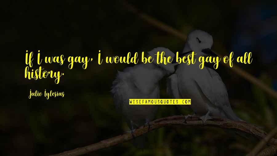 Erwachsenen Arbeiten Quotes By Julio Iglesias: If I was gay, I would be the