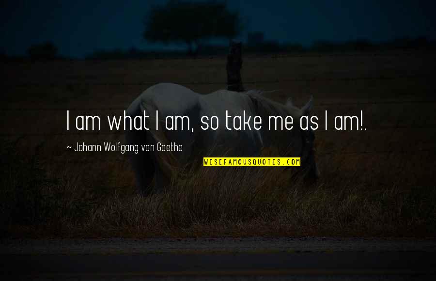 Erwarten Quotes By Johann Wolfgang Von Goethe: I am what I am, so take me