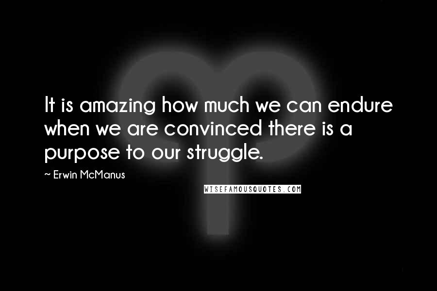 Erwin McManus quotes: It is amazing how much we can endure when we are convinced there is a purpose to our struggle.