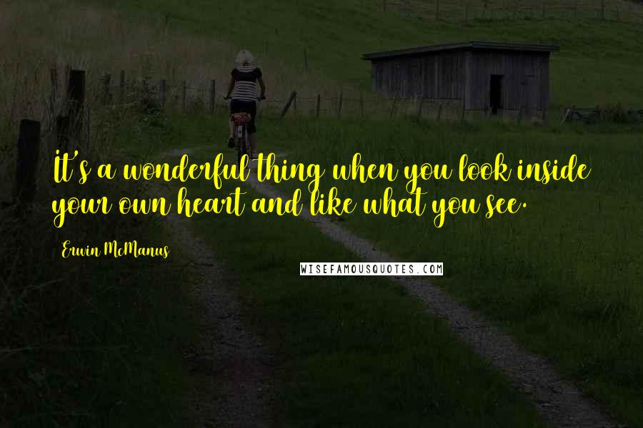 Erwin McManus quotes: It's a wonderful thing when you look inside your own heart and like what you see.