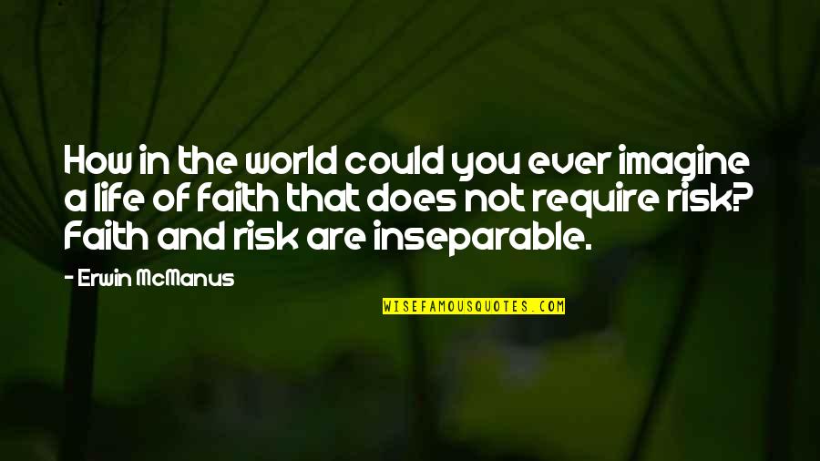 Erwin Mcmanus Quotes By Erwin McManus: How in the world could you ever imagine