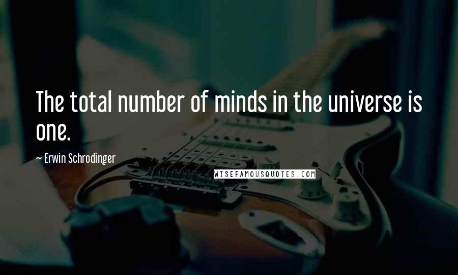 Erwin Schrodinger quotes: The total number of minds in the universe is one.