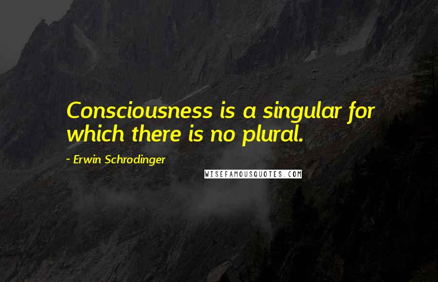 Erwin Schrodinger quotes: Consciousness is a singular for which there is no plural.