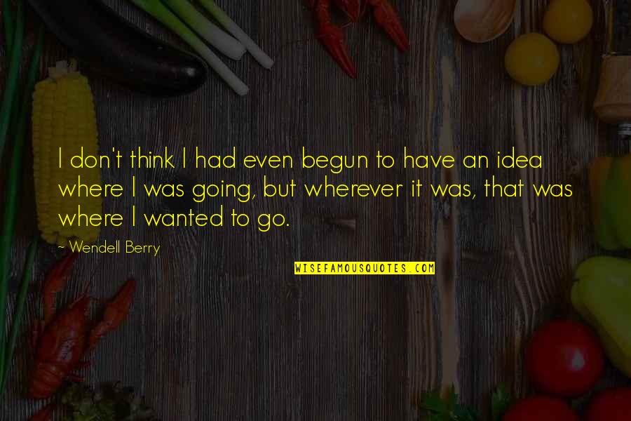 Esaurirsi In Inglese Quotes By Wendell Berry: I don't think I had even begun to