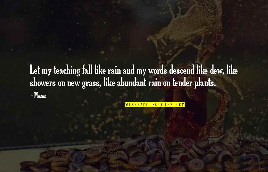 Esben Wingfeather Quotes By Moses: Let my teaching fall like rain and my