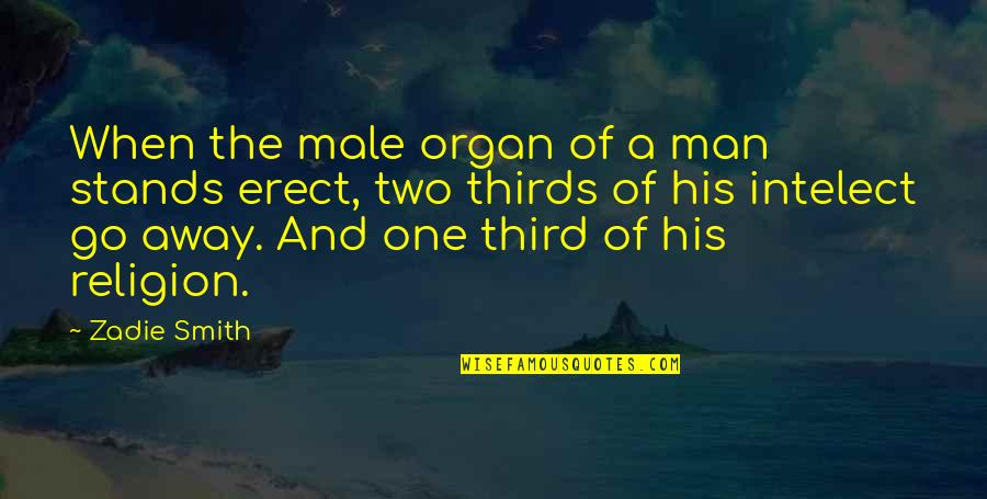 Escadas De Madeira Quotes By Zadie Smith: When the male organ of a man stands