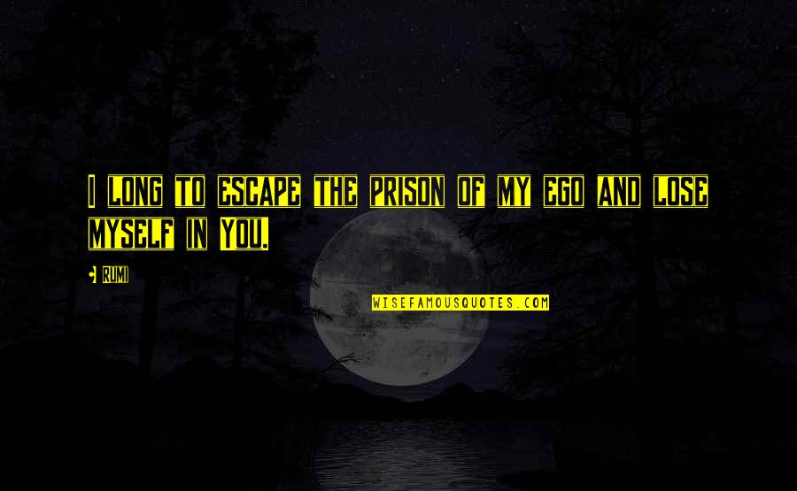 Escape Prison Quotes By Rumi: I long to escape the prison of my