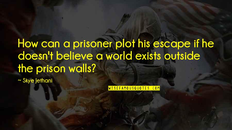 Escape Prison Quotes By Skye Jethani: How can a prisoner plot his escape if Escape Prison Quotes By Skye Jethani: How can a prisoner plot his escape if