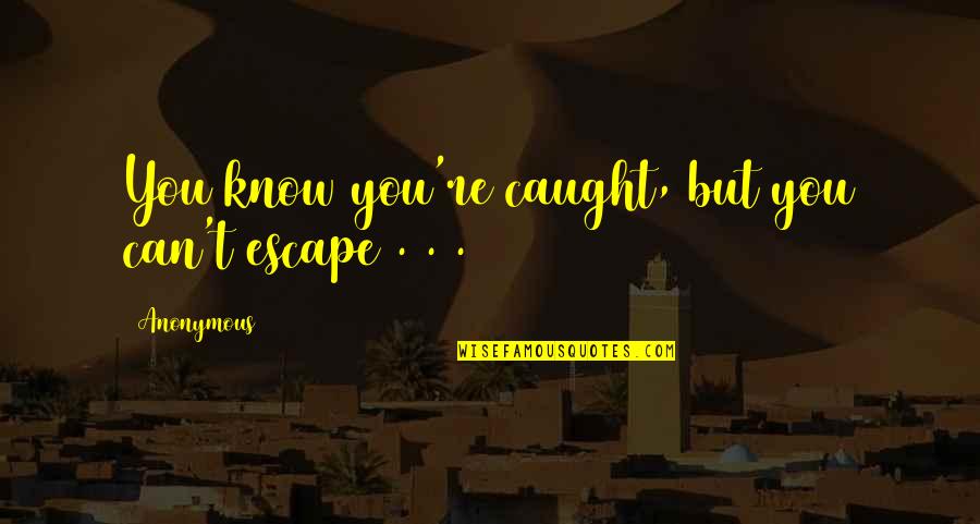 Escape Quotes By Anonymous: You know you're caught, but you can't escape