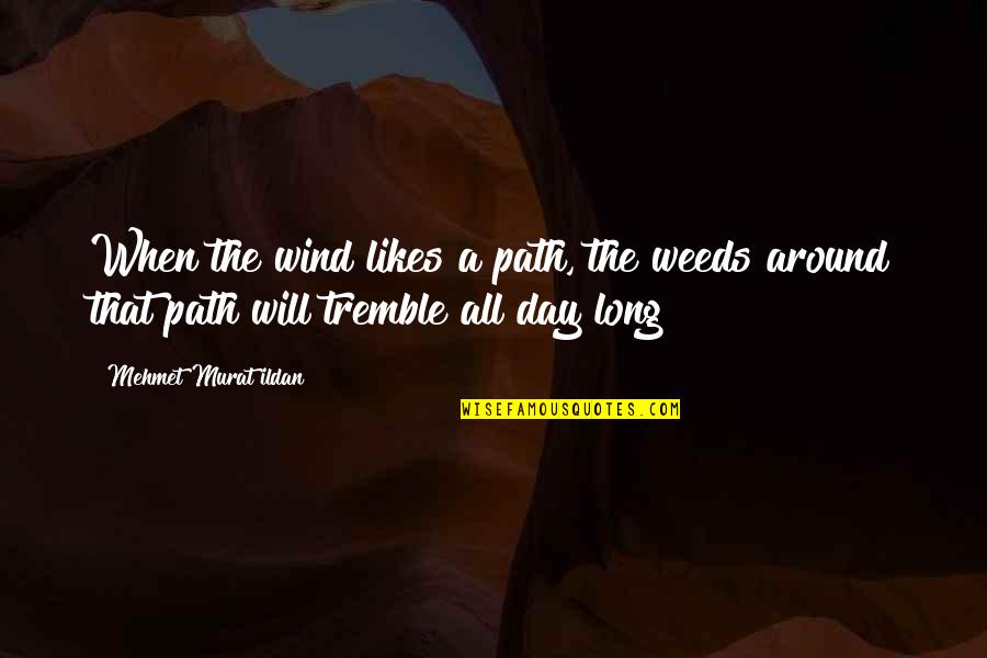 Escape The Past Quotes By Mehmet Murat Ildan: When the wind likes a path, the weeds