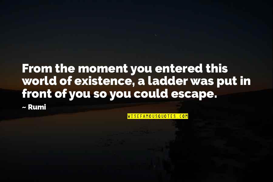 Escape The Past Quotes By Rumi: From the moment you entered this world of