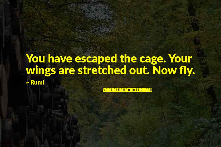 Escaped Quotes By Rumi: You have escaped the cage. Your wings are
