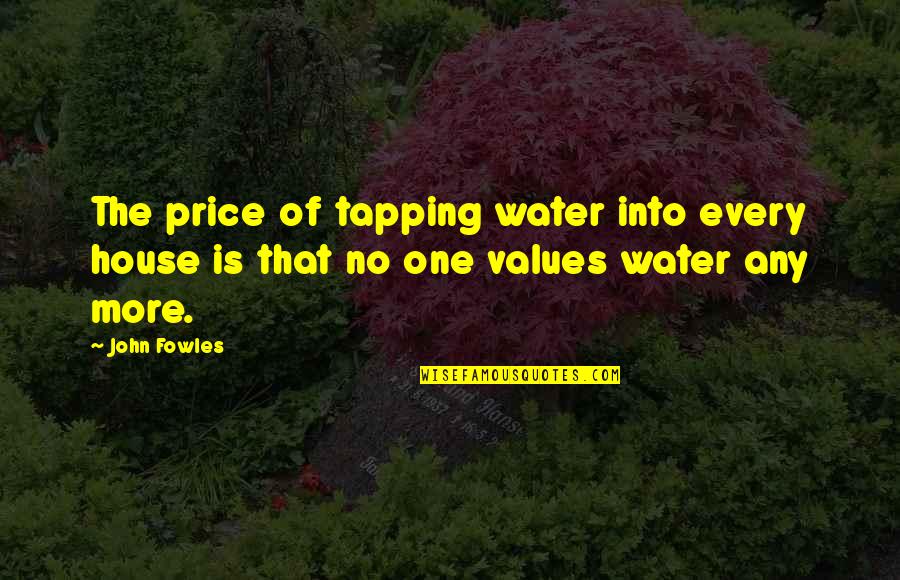 Escapers Online Quotes By John Fowles: The price of tapping water into every house