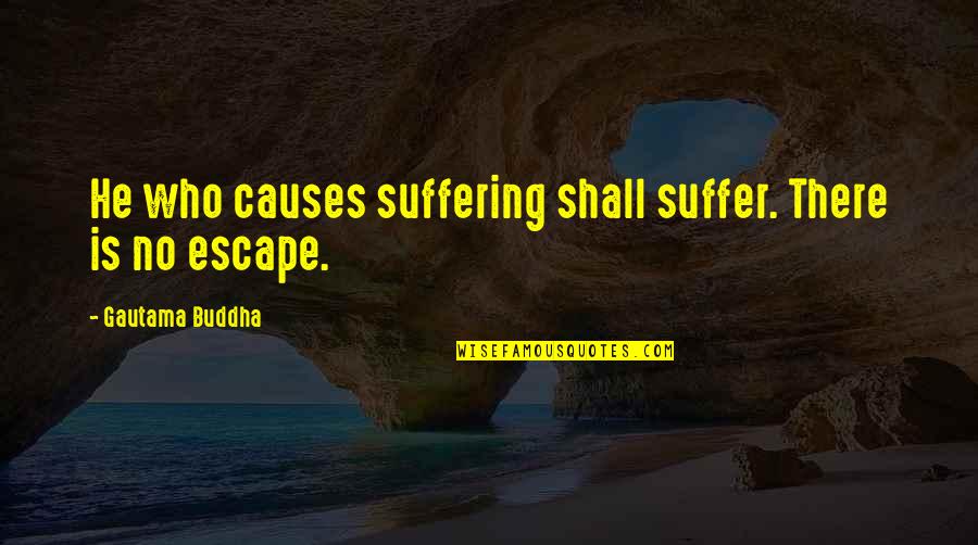 Escaso Significado Quotes By Gautama Buddha: He who causes suffering shall suffer. There is