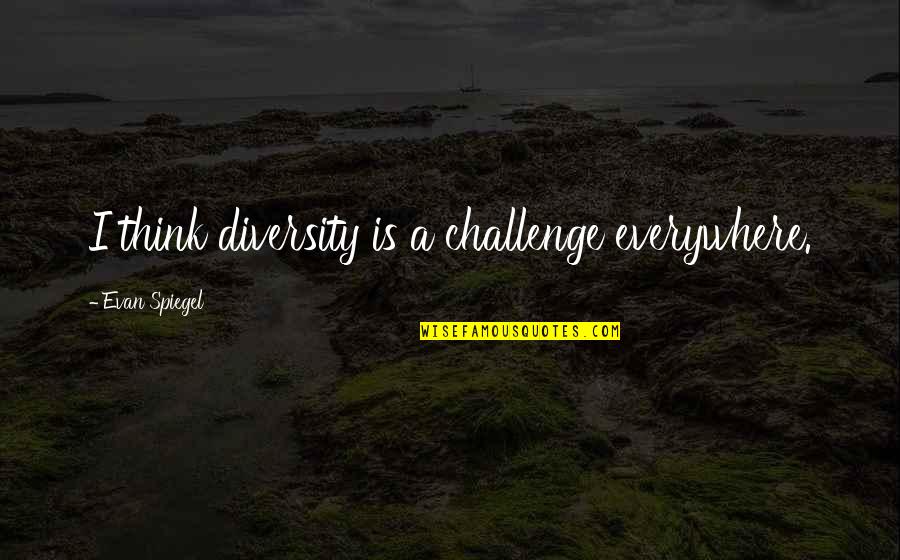 Escasos Quotes By Evan Spiegel: I think diversity is a challenge everywhere.