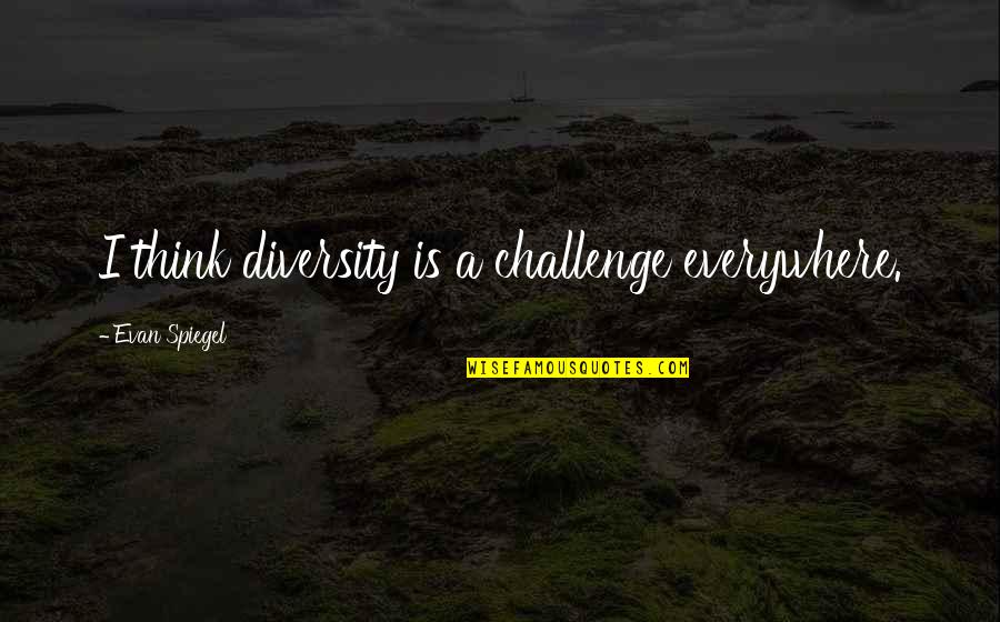 Escasos Quotes By Evan Spiegel: I think diversity is a challenge everywhere. Escasos Quotes By Evan Spiegel: I think diversity is a challenge everywhere.