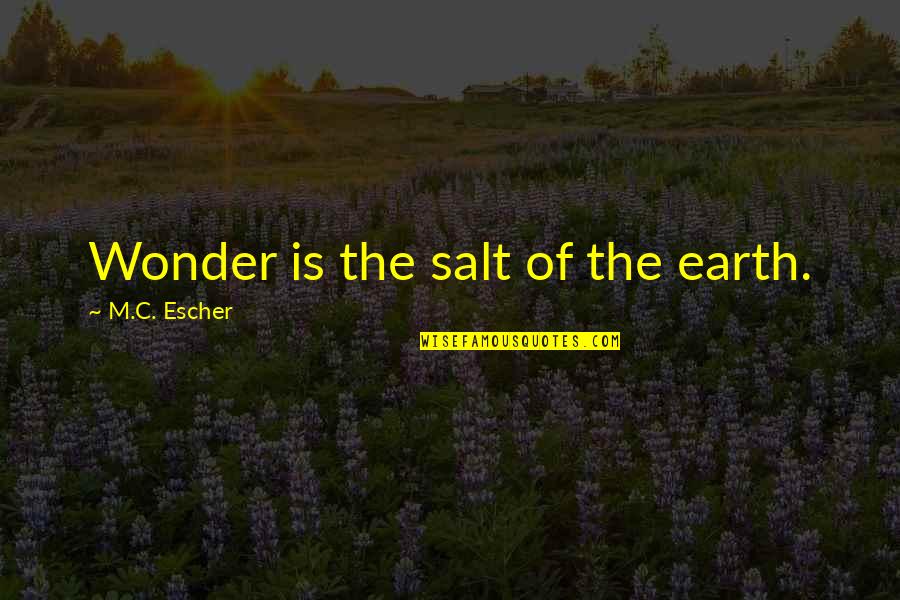 Escher's Quotes By M.C. Escher: Wonder is the salt of the earth.