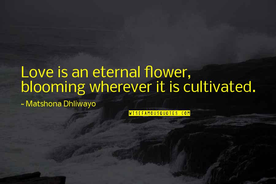 Escorts Quotes By Matshona Dhliwayo: Love is an eternal flower, blooming wherever it