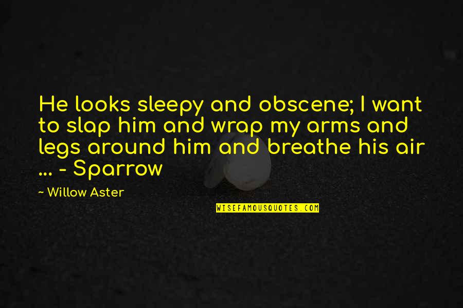 Escourtstahoe Quotes By Willow Aster: He looks sleepy and obscene; I want to