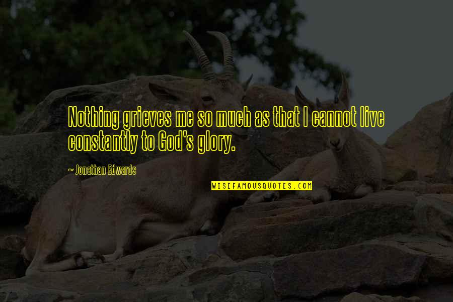 Escribirte La Quotes By Jonathan Edwards: Nothing grieves me so much as that I