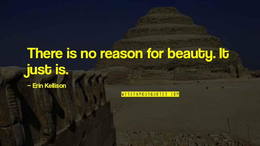 Escuchen In English Quotes By Erin Kellison: There is no reason for beauty. It just