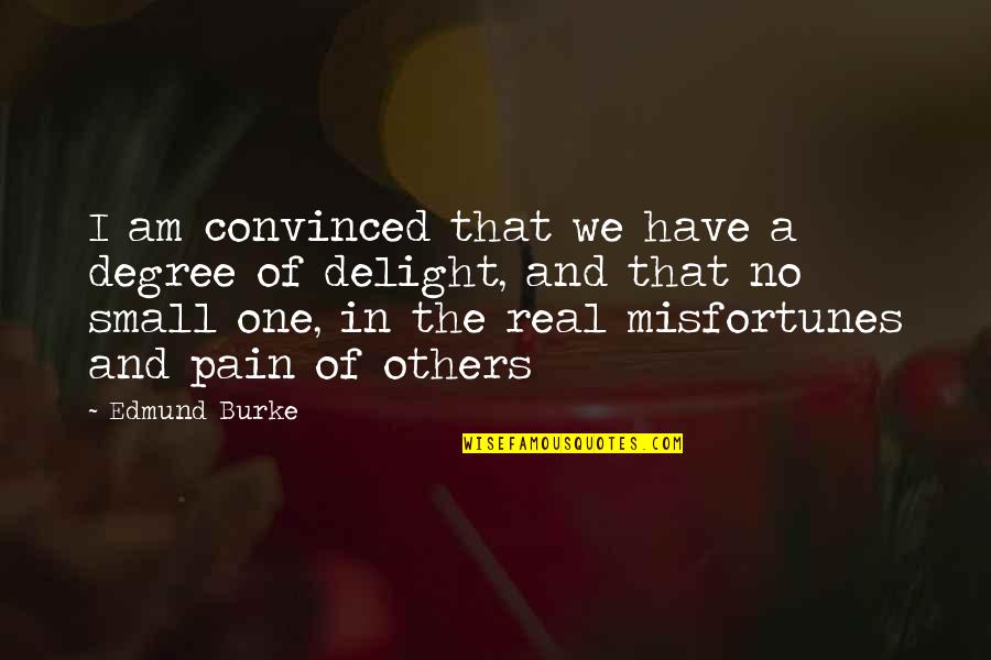 Esentially Quotes By Edmund Burke: I am convinced that we have a degree