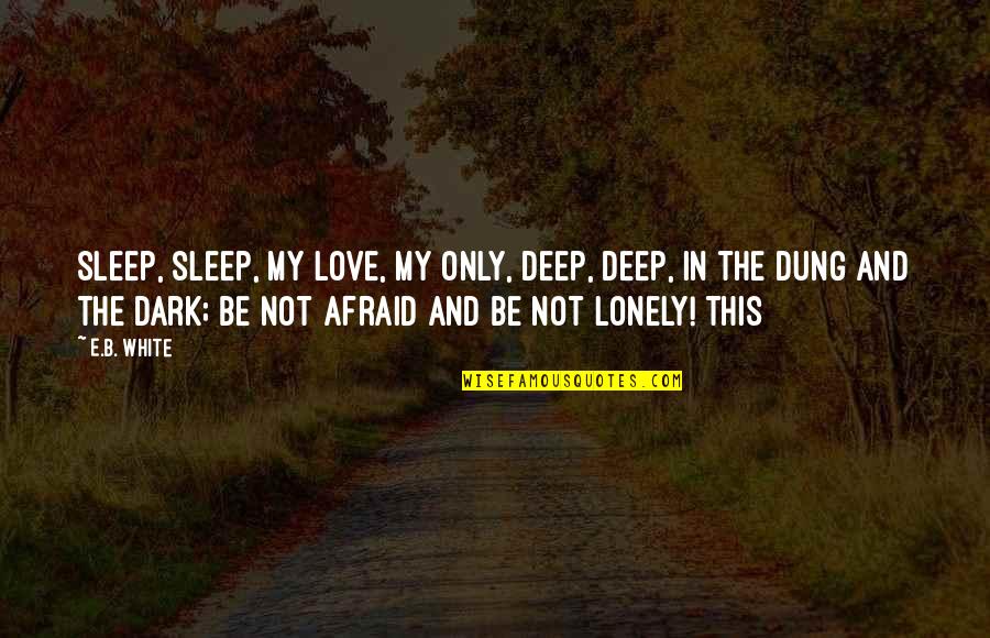 Esfaquearam Quotes By E.B. White: Sleep, sleep, my love, my only, Deep, deep, Esfaquearam Quotes By E.B. White: Sleep, sleep, my love, my only, Deep, deep,