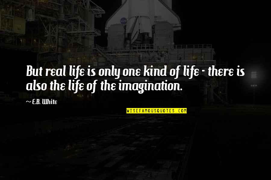 Esfuerzo Axial Quotes By E.B. White: But real life is only one kind of