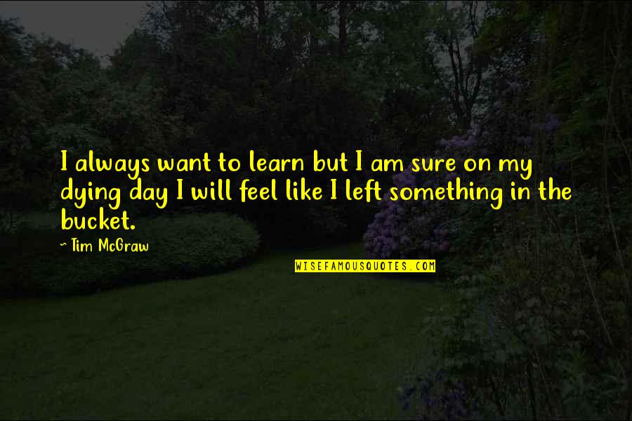 Esfuerzo Quotes By Tim McGraw: I always want to learn but I am