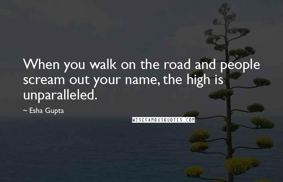 Esha Gupta quotes: When you walk on the road and people scream out your name, the high is unparalleled.
