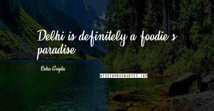 Esha Gupta quotes: Delhi is definitely a foodie's paradise.