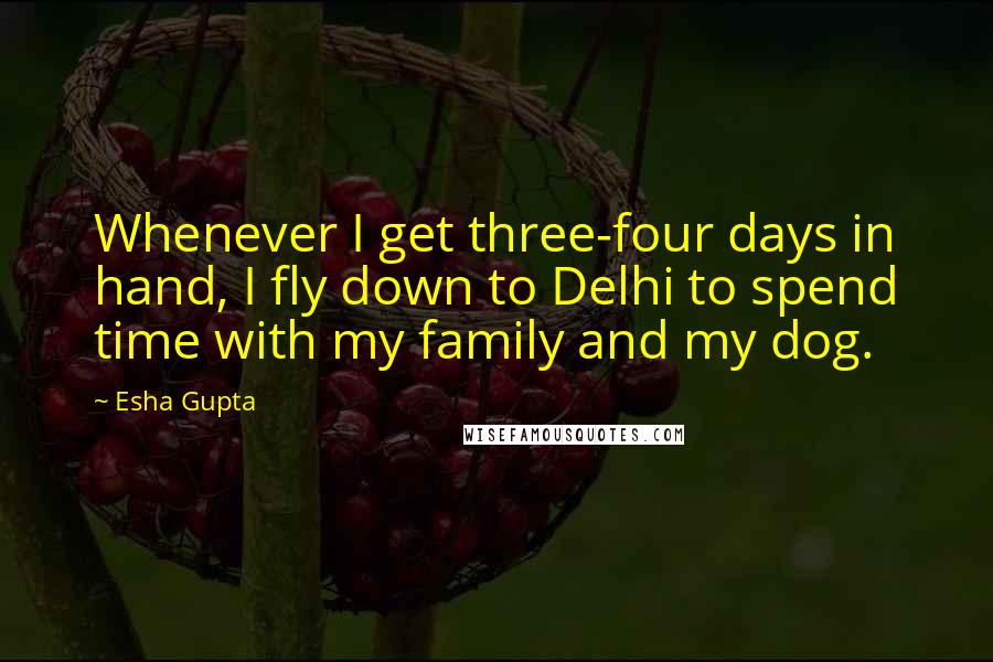Esha Gupta quotes: Whenever I get three-four days in hand, I fly down to Delhi to spend time with my family and my dog.