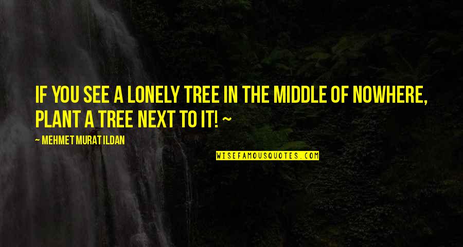Esinti Kir Quotes By Mehmet Murat Ildan: If you see a lonely tree in the