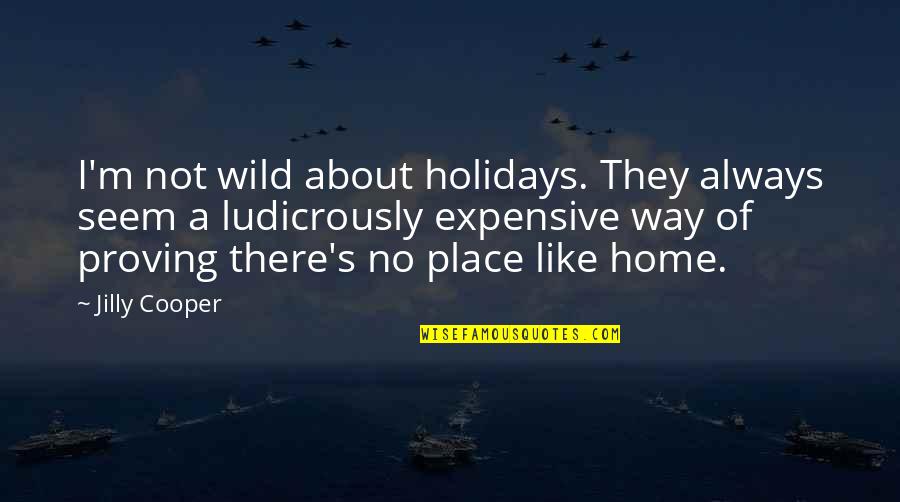 Esitli Ambalajlar Quotes By Jilly Cooper: I'm not wild about holidays. They always seem